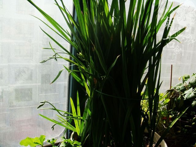 nEO_IMG_nEO_IMG_DSC00868.jpg