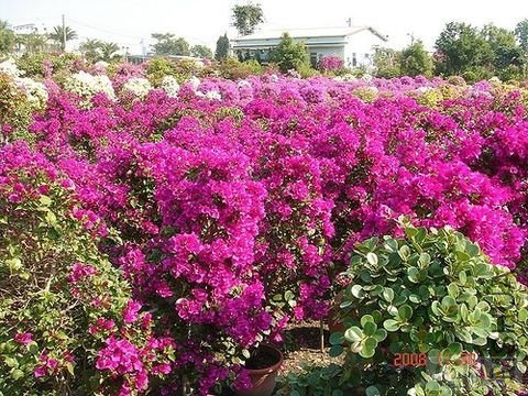 20090105_24fcae7fcb9c3360d0b3BgN99qAMJaDj.jpg