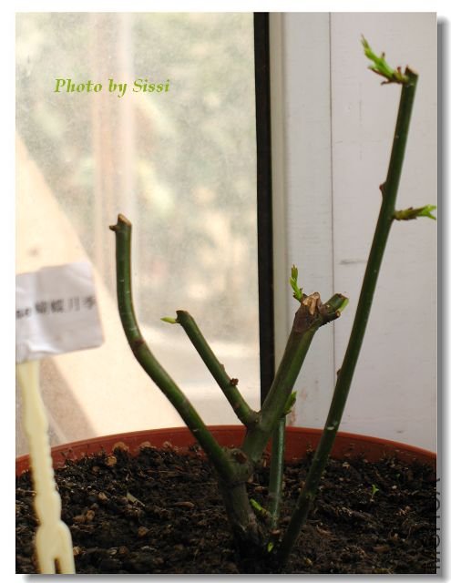 �����¼�