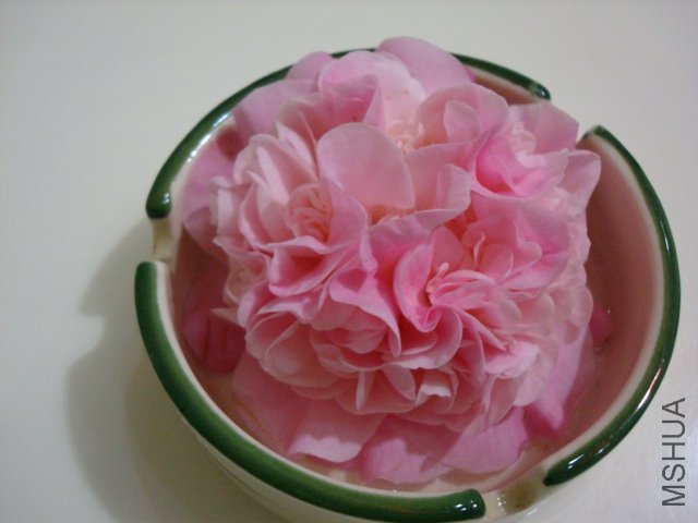 Ϊ��֤��ζ���������㻨2