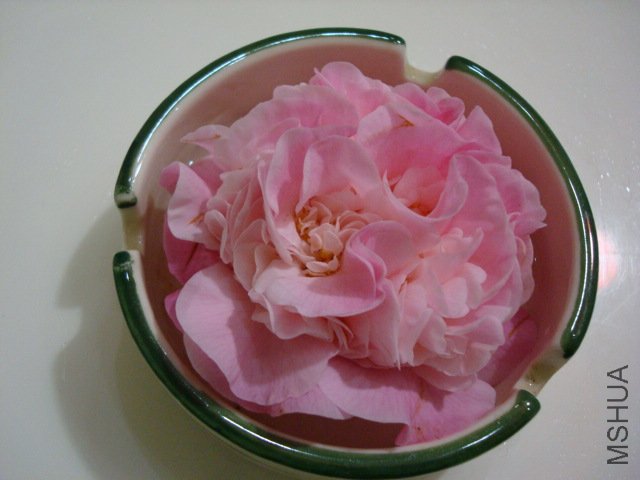 Ϊ��֤��ζ���������㻨