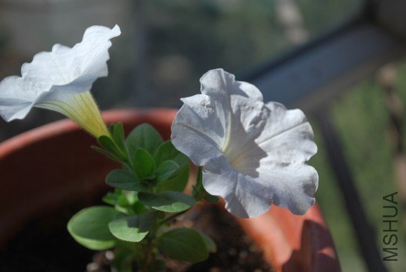 09.1����ǰ 003.jpg