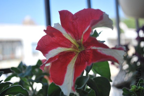 09.1����ǰ 020.jpg