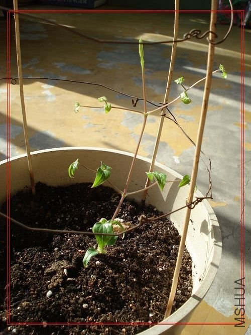 �ԼҵĲ�Ǩ����Ҳ���������ˣ���ʼ��������