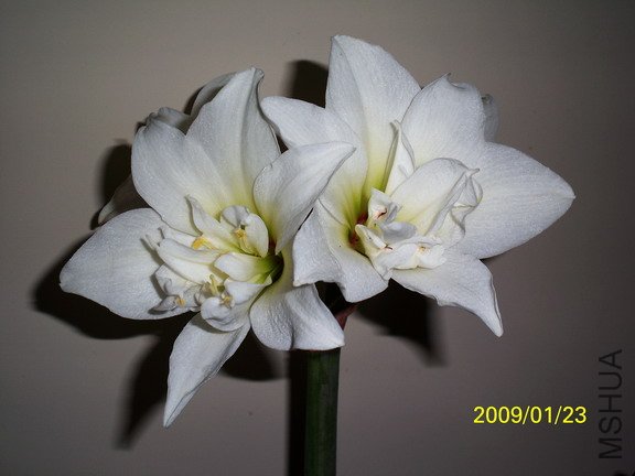 ��Ƭ 2697(576).jpg