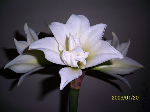 ��Ƭ 2664(576).jpg