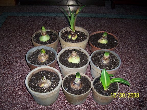 ��Ƭ 2085(576B).jpg