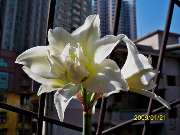 ��Ƭ 2678(576B).jpg