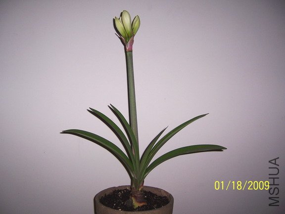 ��Ƭ 2486(576).jpg