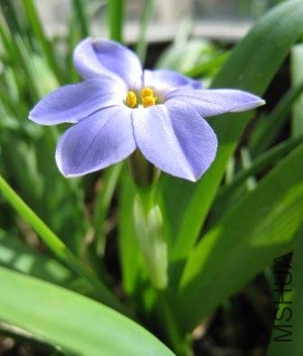 IMG_0686.jpg