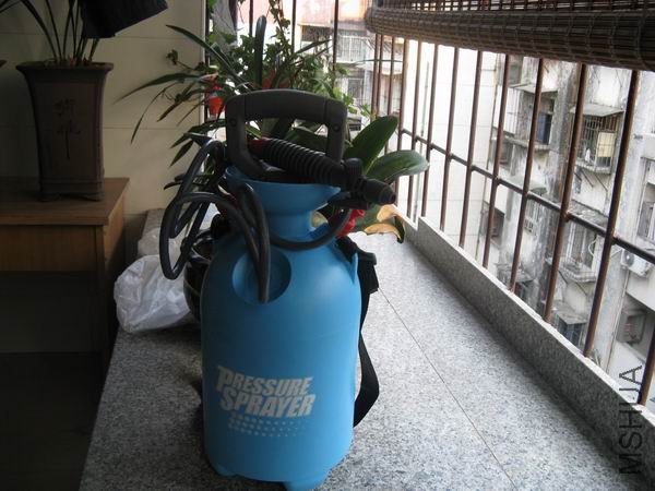 İ�ϻ��Ź��ĳ�����ˮ�����ܴ������Ź��ؼң��ұ������ϣ�ˮ������������Ȼ�������ȥ������ǰ���˸����� ...