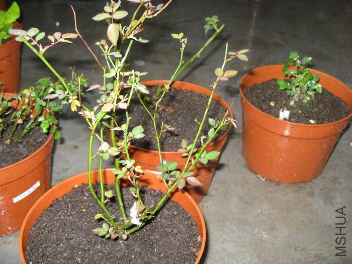 İ�ϻ���Ʒ�¼��ŵĺ����¼�