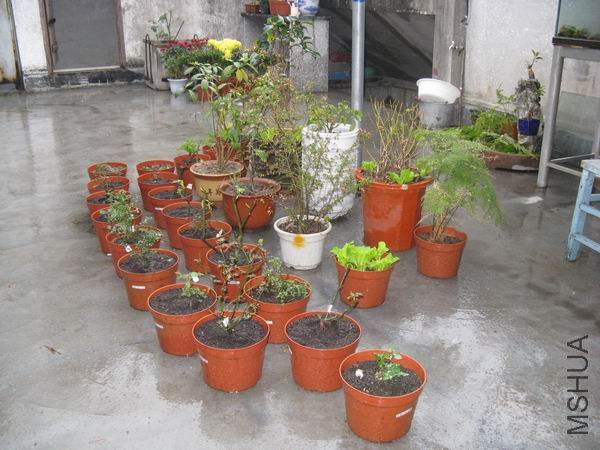 �������ö����¼����������������쳤��