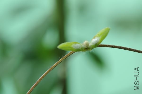 090128�������˵Ļ����� (2).jpg