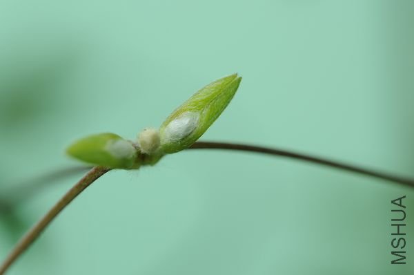 090128�������˵Ļ����� (1).jpg