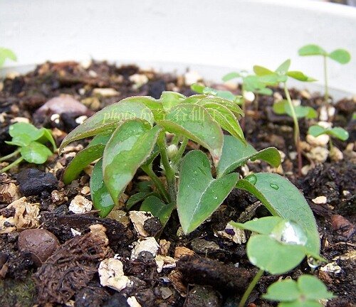 ����û��