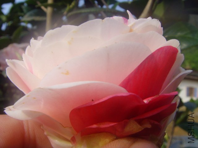 73ae246326900d4f5a79b877a28b77d6.jpg