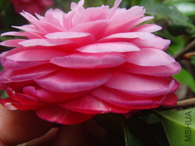 b60495b4f8a3359ff516b4e437d3b653.jpg