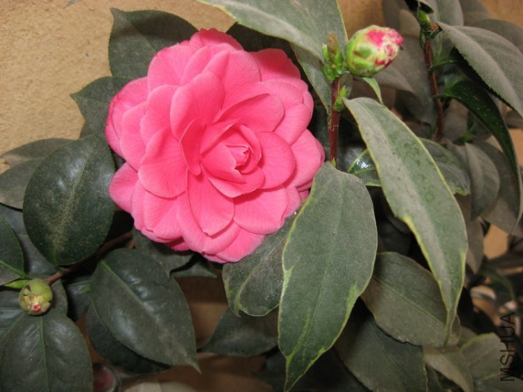 932 ���϶��3.jpg