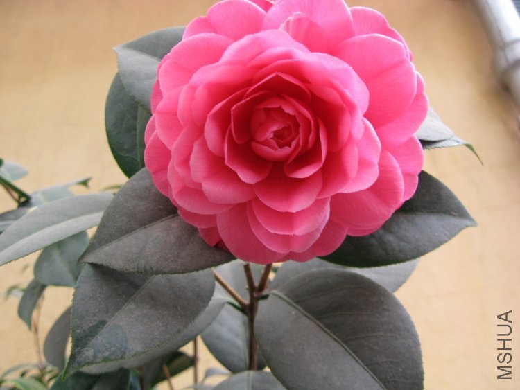 932 ���϶��4.jpg