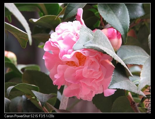 nEO_IMG_��Ƭ 019A.jpg