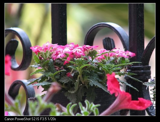 nEO_IMG_��Ƭ 029A.jpg