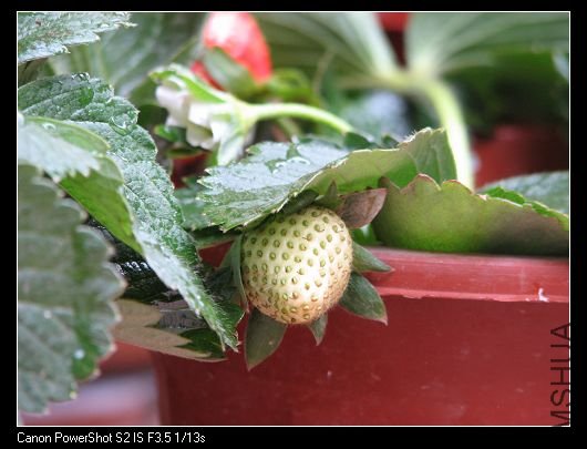 nEO_IMG_��Ƭ 016A.jpg