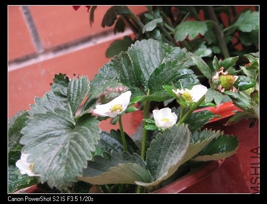 nEO_IMG_��Ƭ 018A.jpg