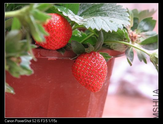 nEO_IMG_��Ƭ 015A.jpg