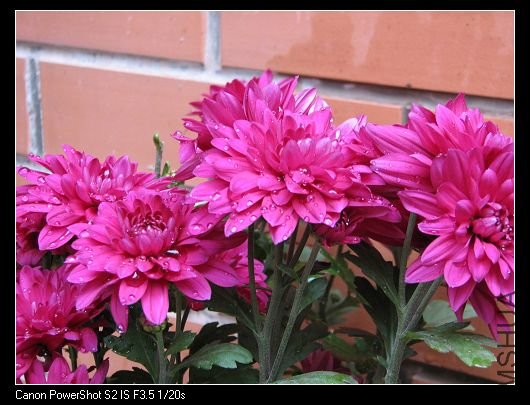 nEO_IMG_��Ƭ 001.jpg