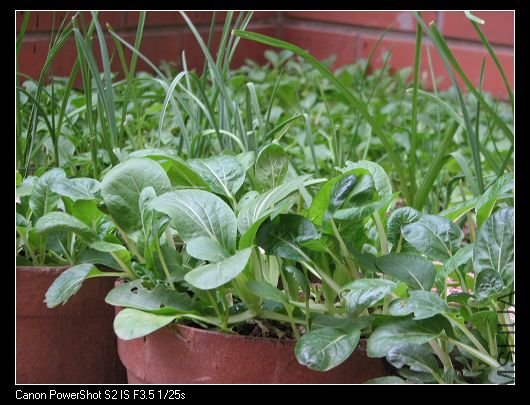 nEO_IMG_��Ƭ 031A.jpg