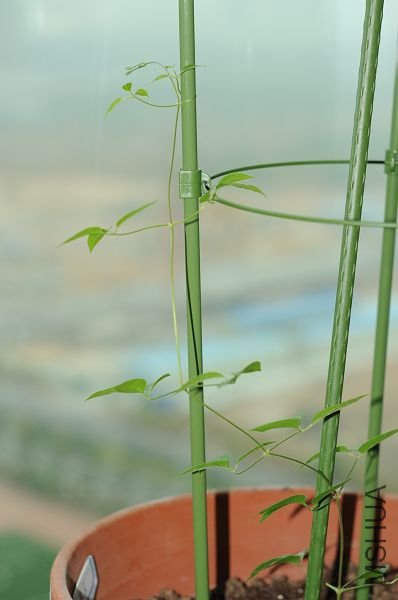 20090129���� (1).JPG