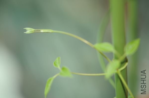 20090129���� (2).JPG