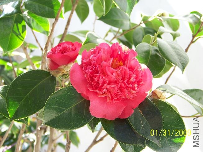 100_1169.JPG