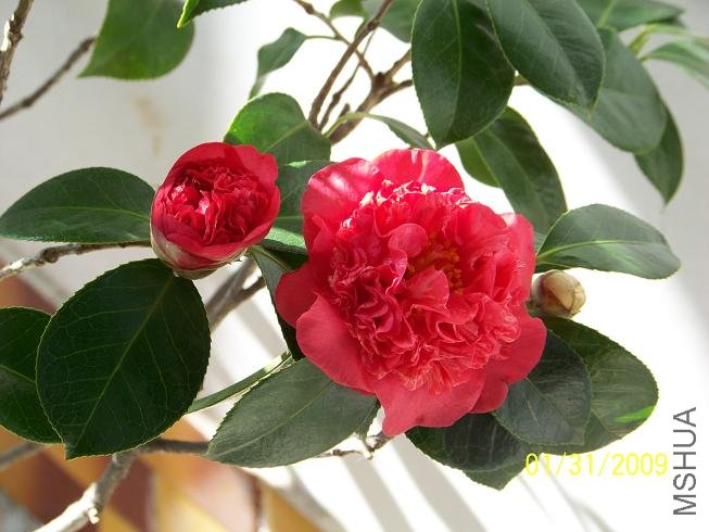 100_1173.JPG