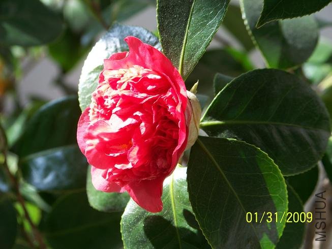 100_1172.JPG