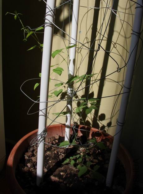 ������С 0131-2a.jpg