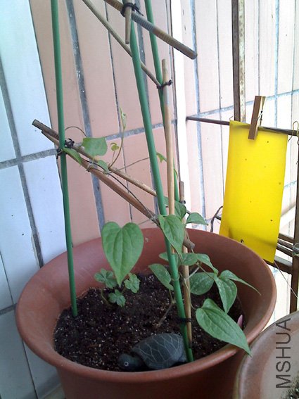 ��Ī���Ѿ���ʼ������