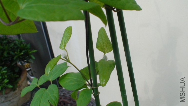 ���Ǵ����������ĵ�һ�Ի���.