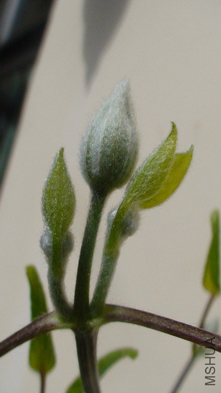 �ȿ�����������д.