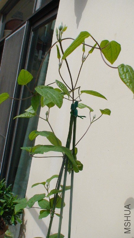 �ĶԻ�������д.