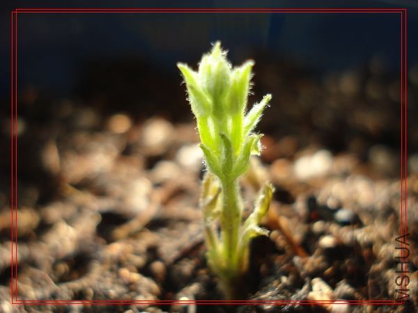 ��³��˾��ѿ�����е�ز�۵�ζ��