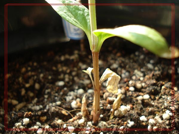 ���žͿ��ĺ������