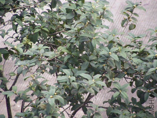 PICT0027.JPG