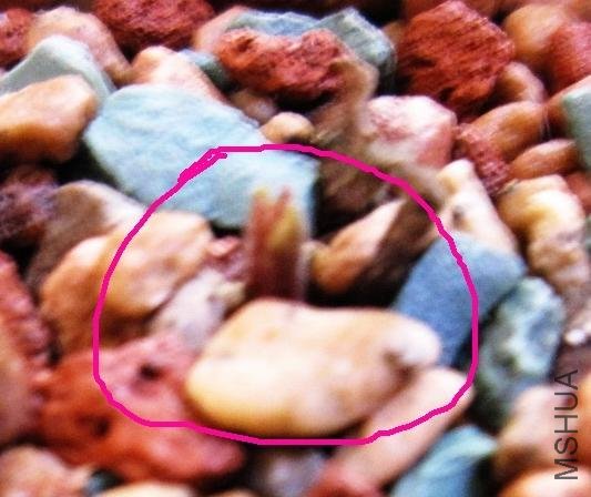 ���� IMG_0347.jpg