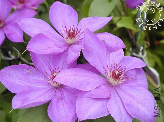 ������׼��