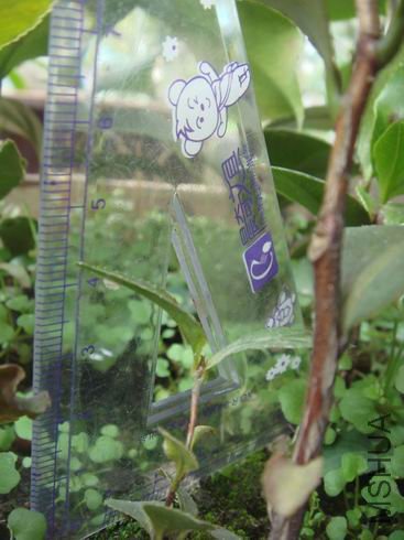 һ����С��ʵ���磬����һ�껹����4����