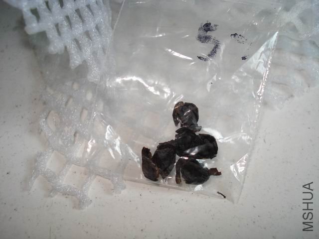 ������С DSC00006.JPG