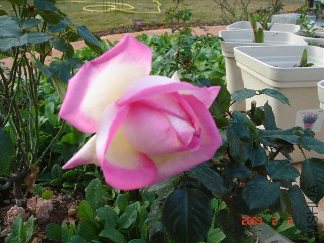 Ħ��繫��1 (С).JPG