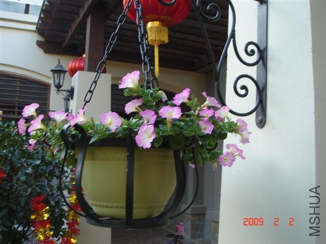 �������裬ǰһ��ʱ�仹û�п��������ڿ���Ҳ������